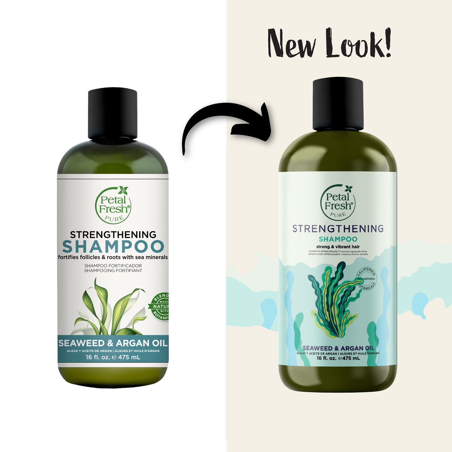 Strengthening Shampoo with Seaweed and Argan Oil