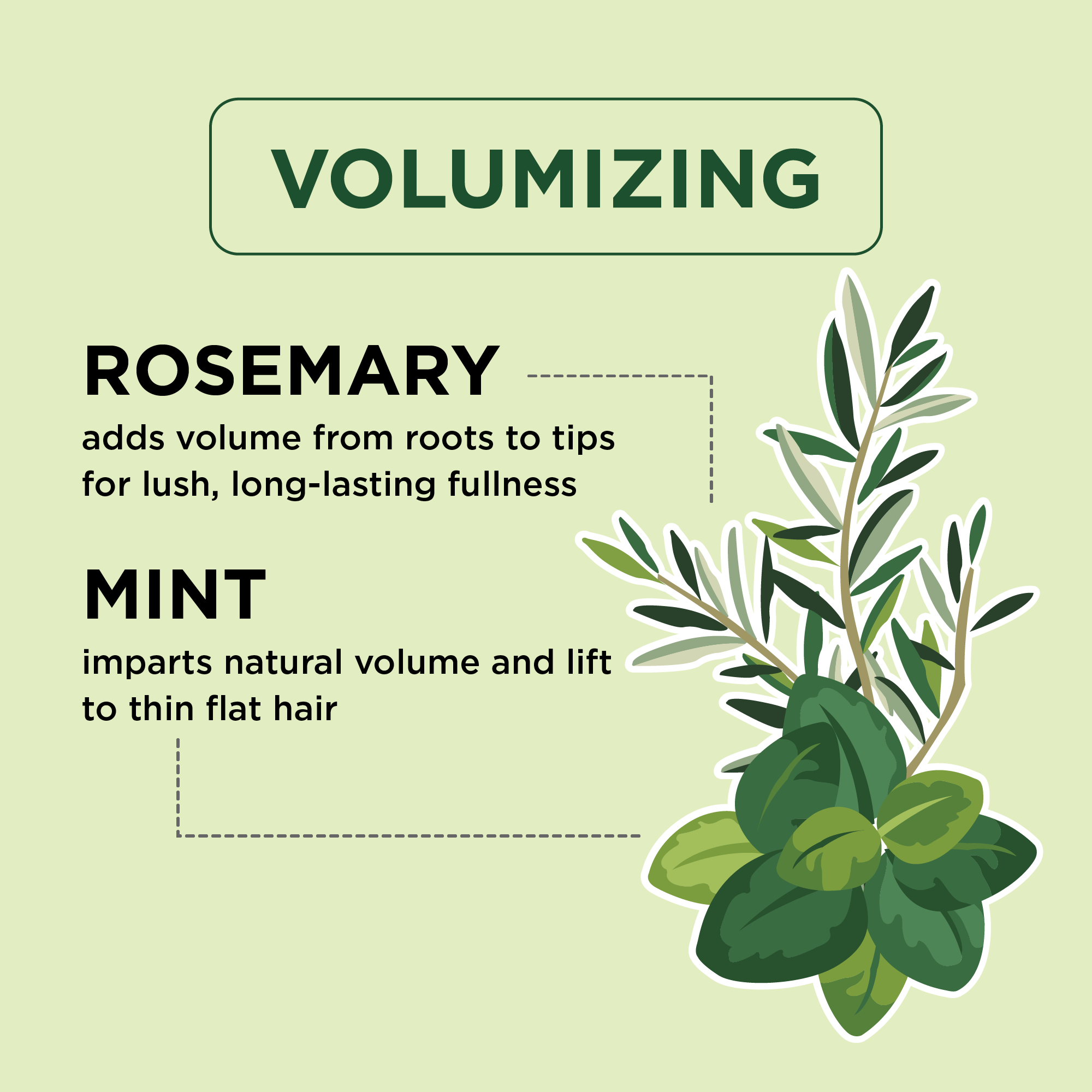 Volumizing Conditioner with Rosemary and Mint