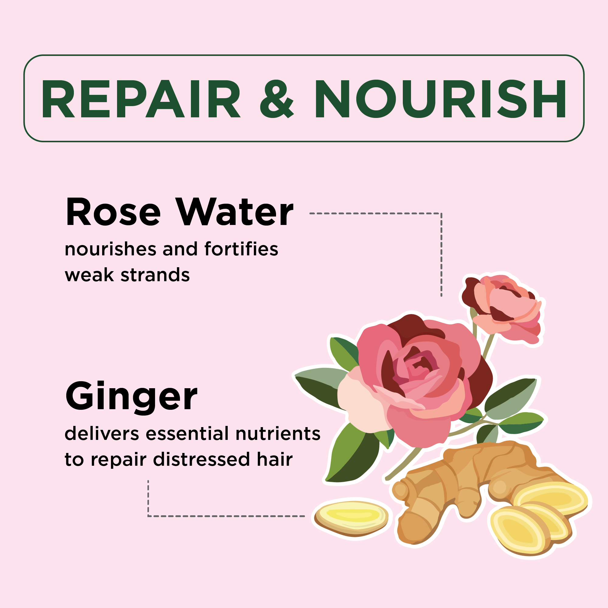 Repair & Nourish Shampoo with Ginger and Rose Water