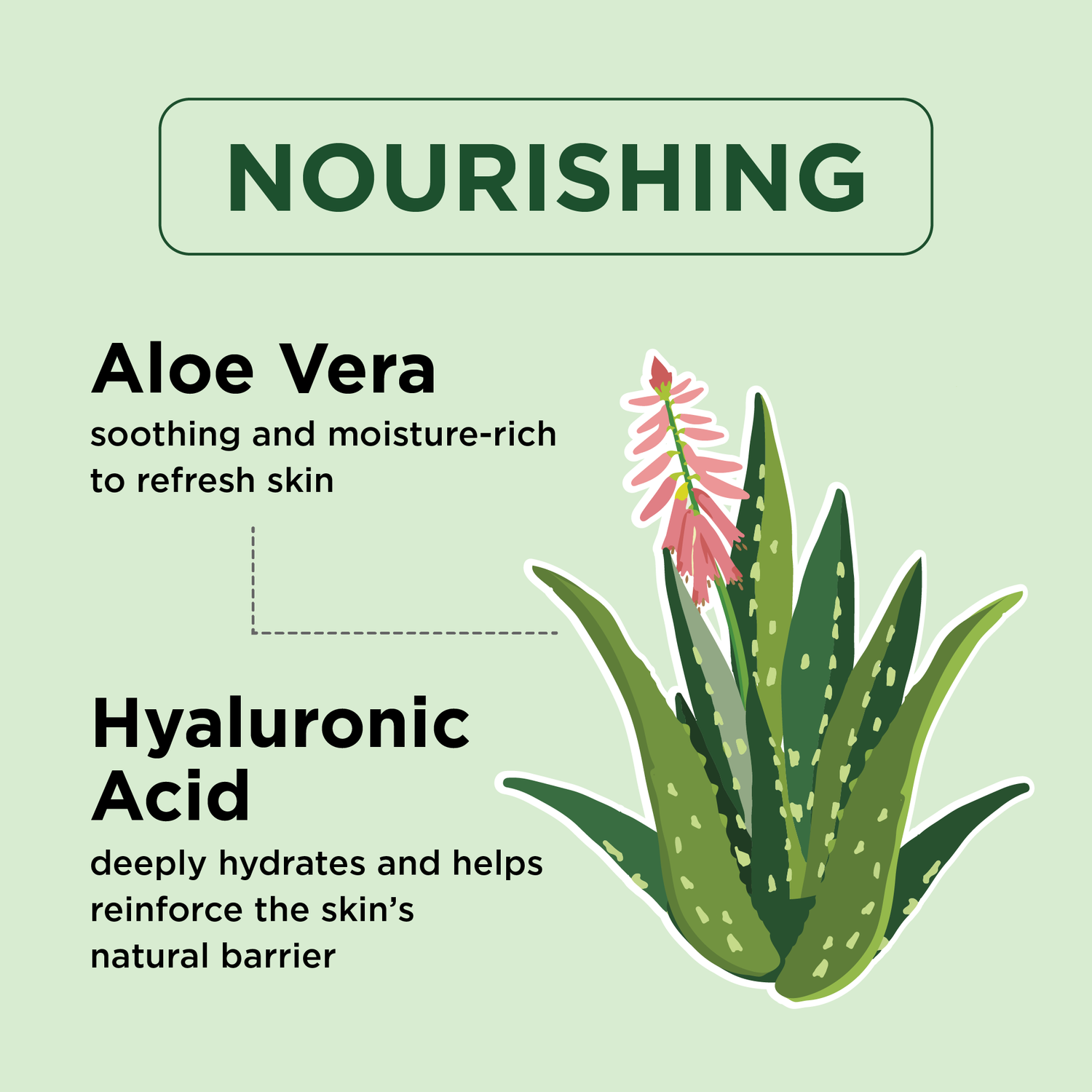 Nourishing Aloe Vera Body Wash, 32oz