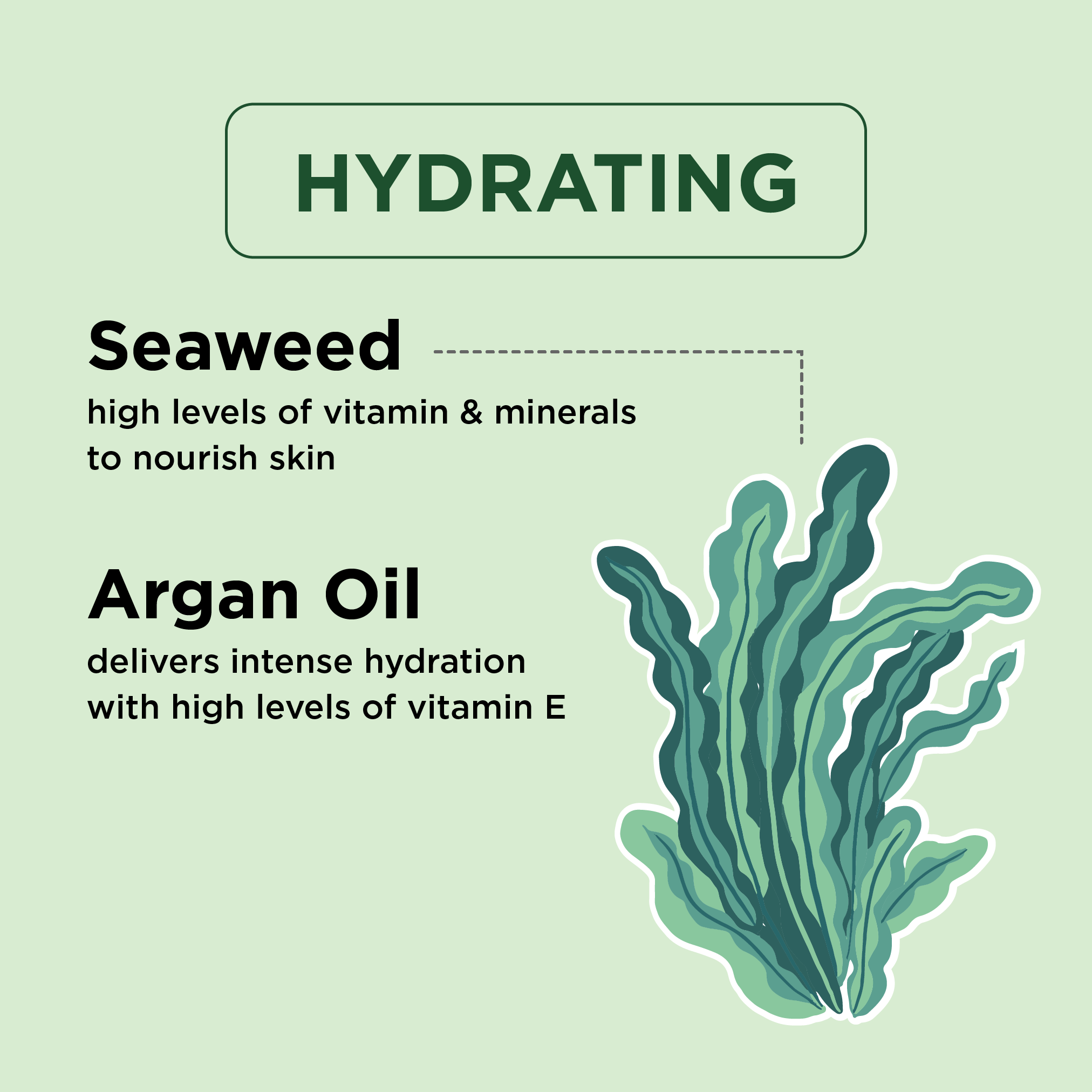 Mineral Nourishing Seaweed & Argan Oil Body Wash