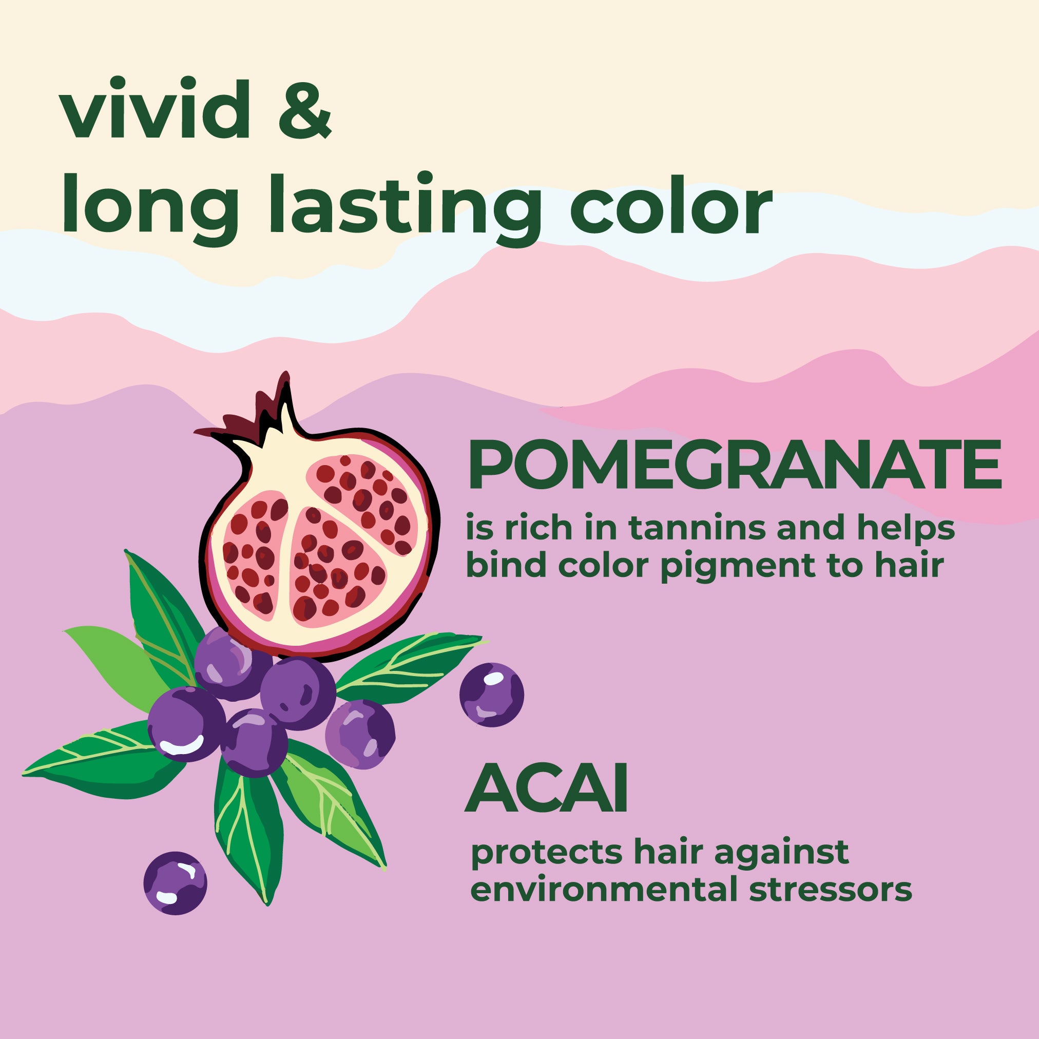 Color Protection Shampoo with Pomegranate and Açaí