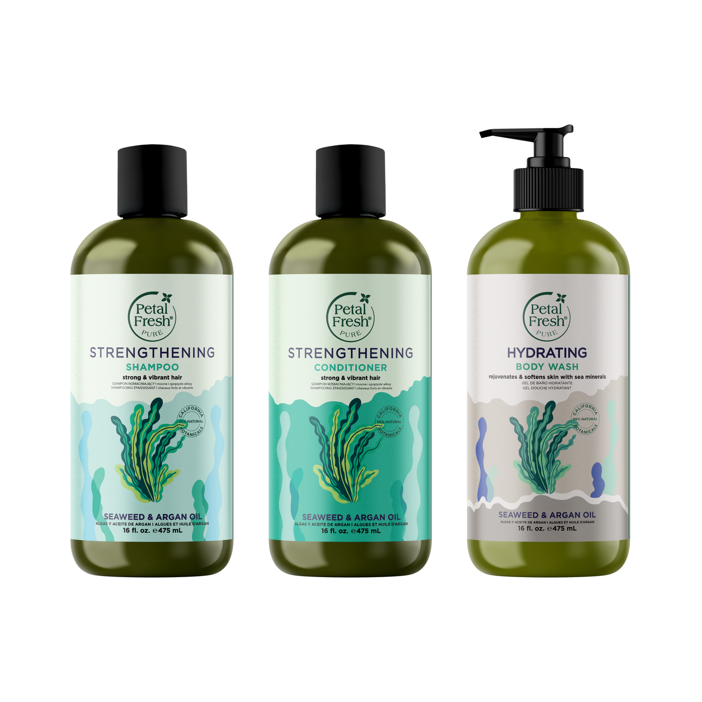 The Seaweed & Argan Oil Collection