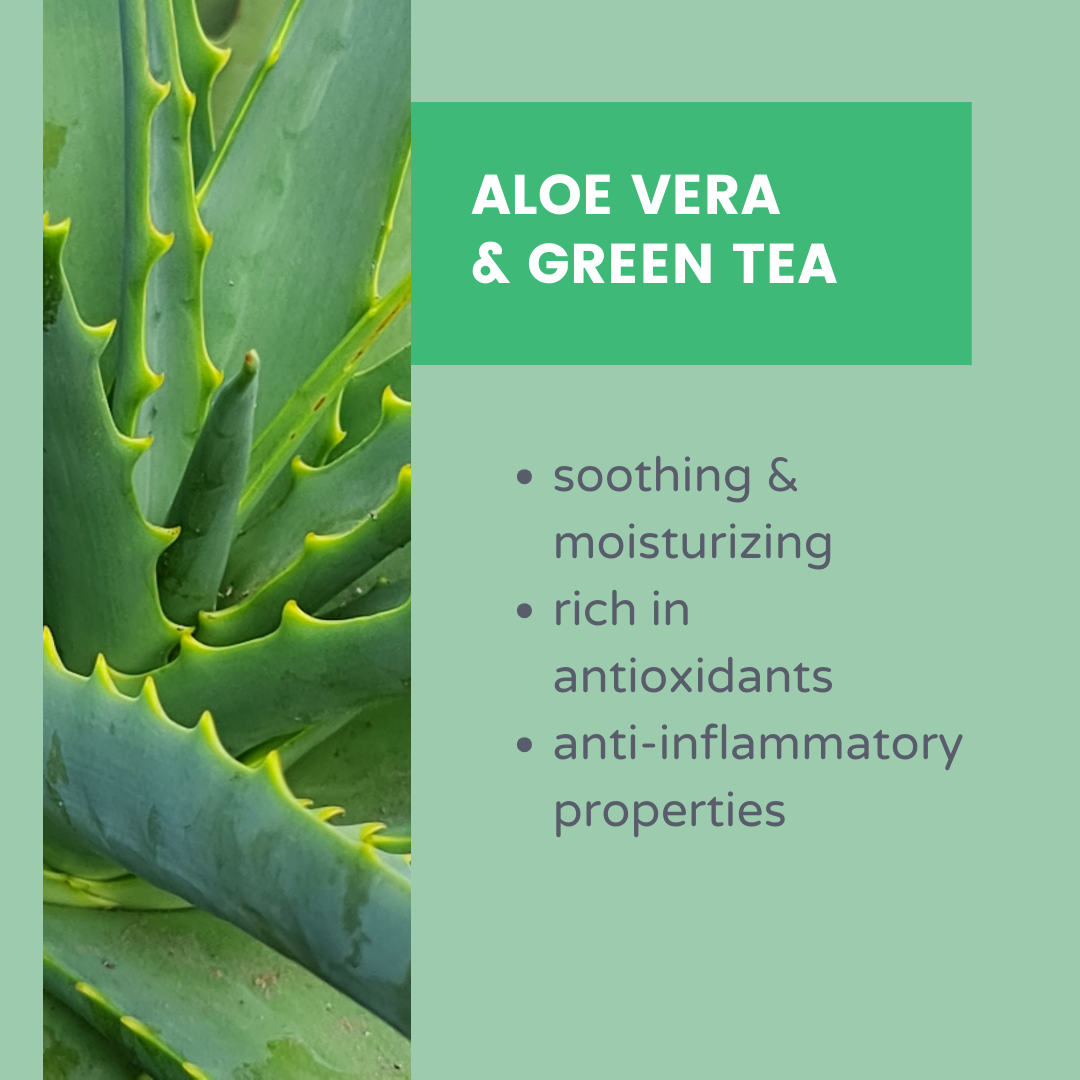 Revitalizing Aloe Vera &amp; Green Tea Makeup Removing Cleansing Wipes