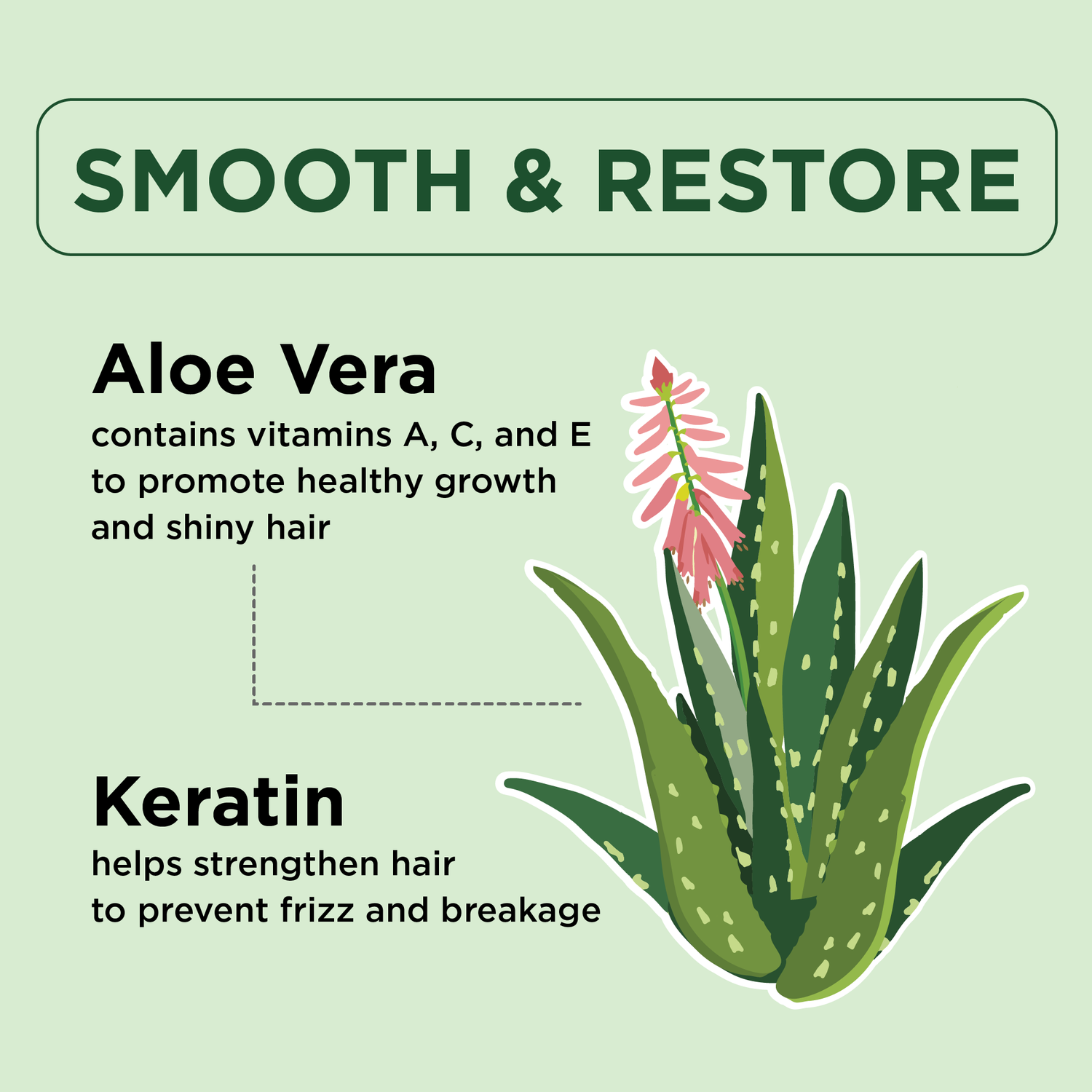 aloe vera plant conditioner Smooth & Restore Conditioner with Keratin and Aloe Vera 3 Pack