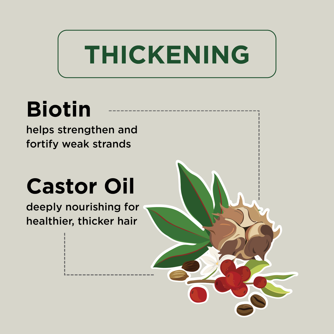 Thickening Shampoo with Biotin &amp; Castor Oil