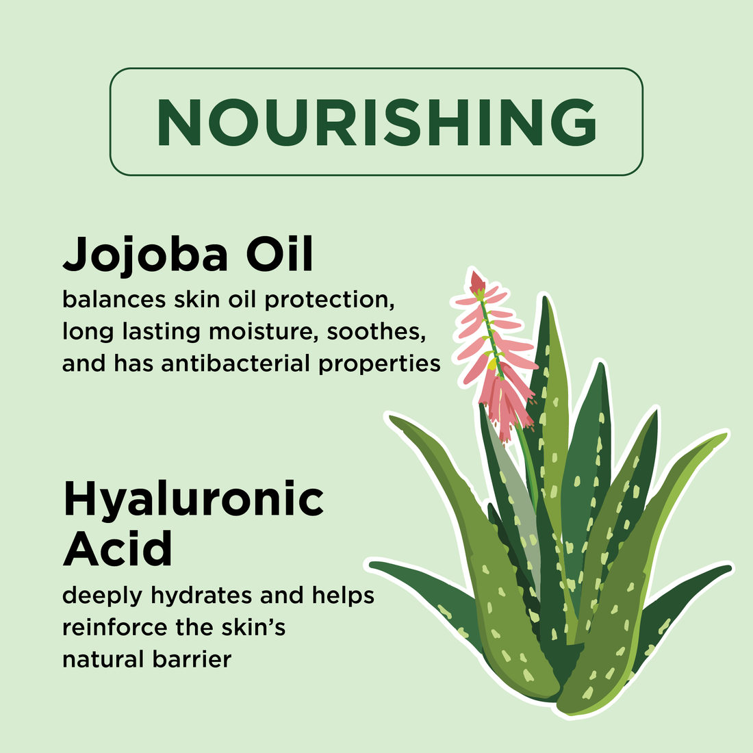 Nourishing Body Oil with Aloe Vera, 8oz