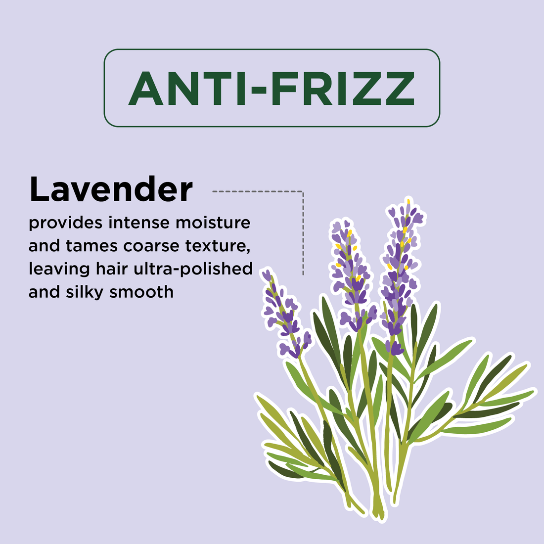 Anti-Frizz Shampoo with Lavender