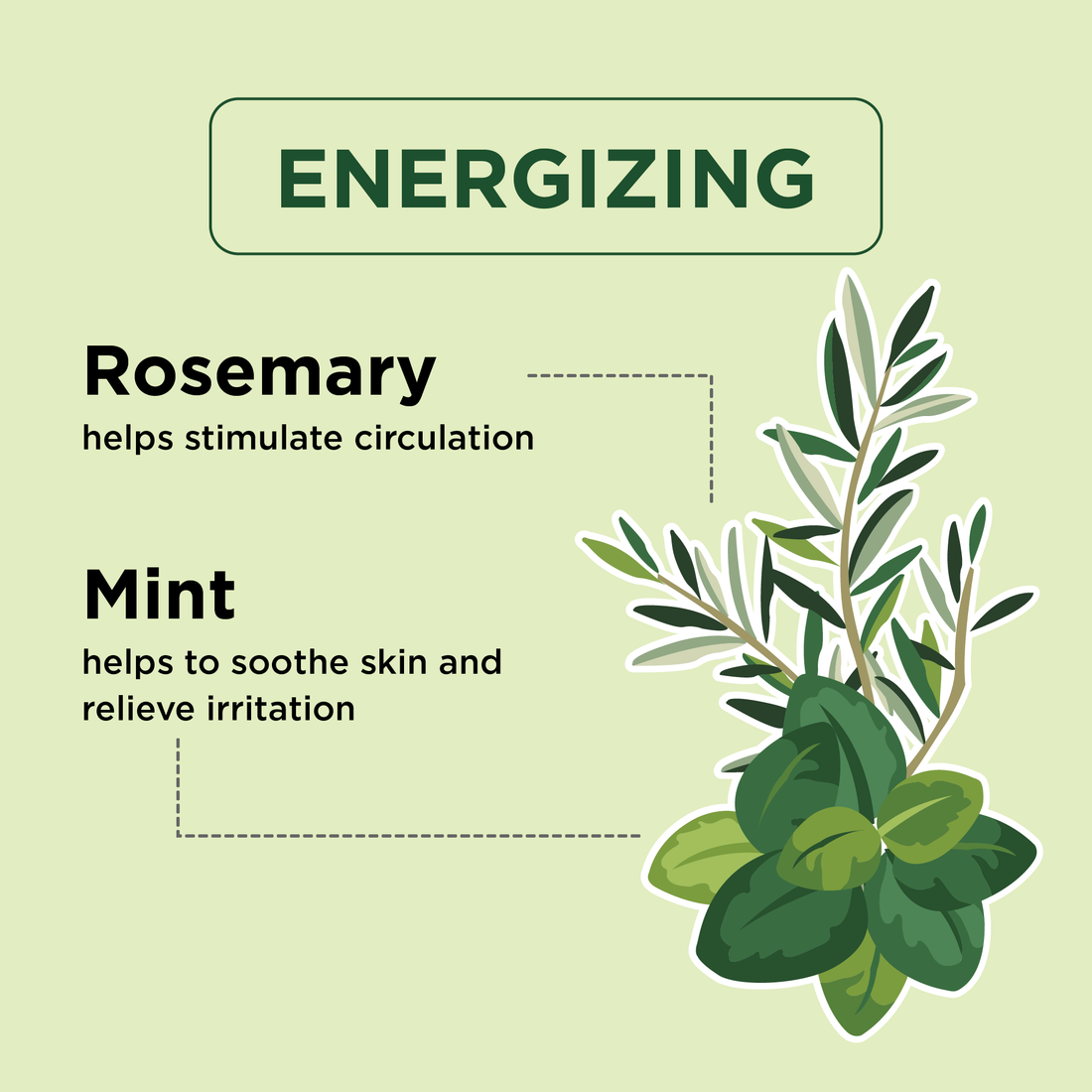 Energizing Rosemary & Mint Body Wash