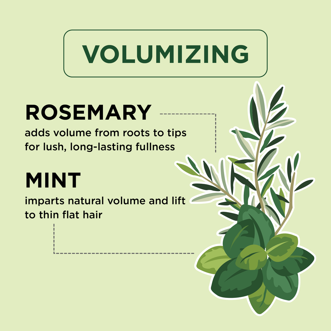 Volumizing Conditioner with Rosemary and Mint