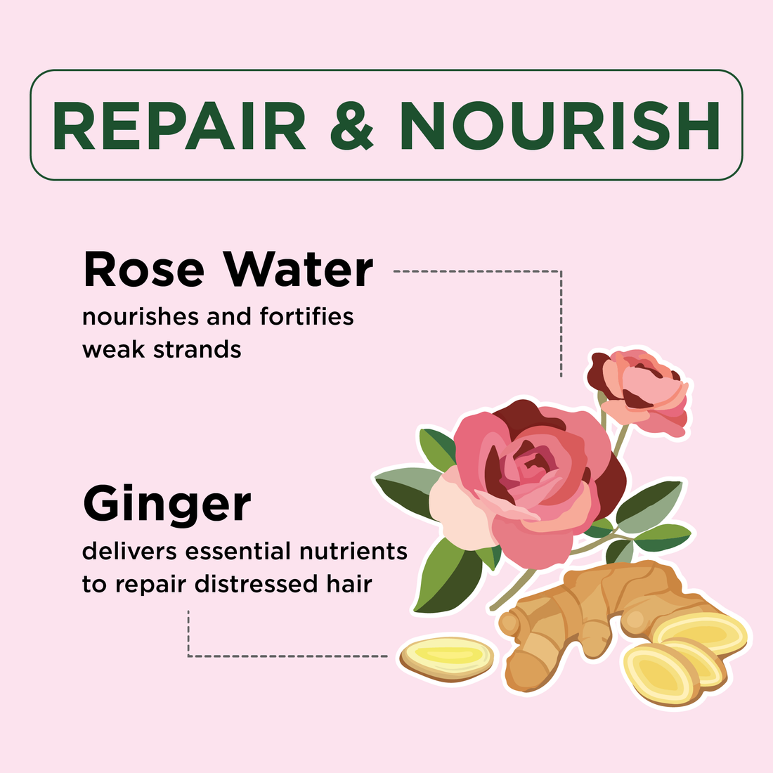 Repair &amp; Nourish Shampoo with Ginger and Rose Water