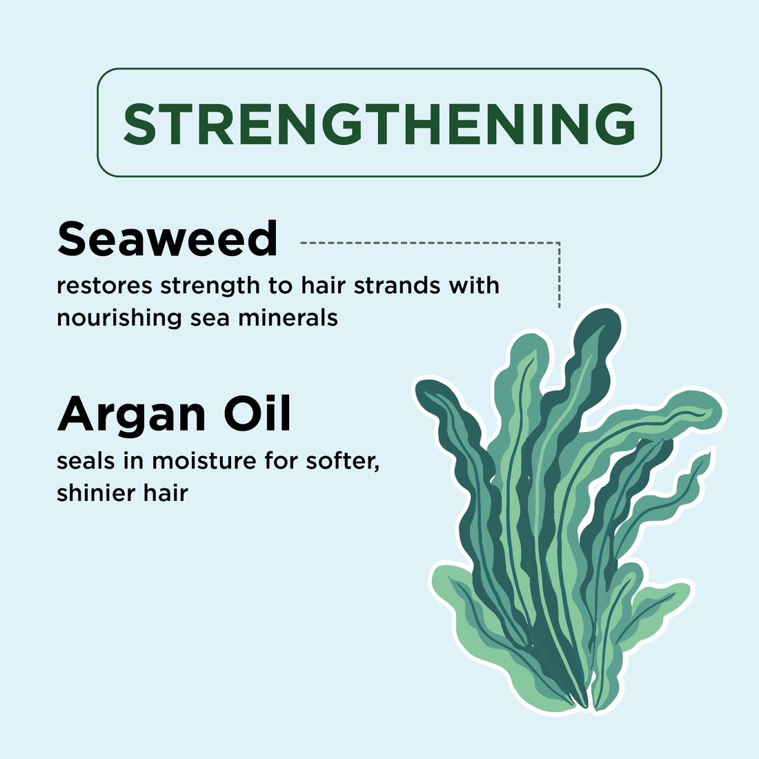 Strengthening Shampoo with Seaweed and Argan Oil