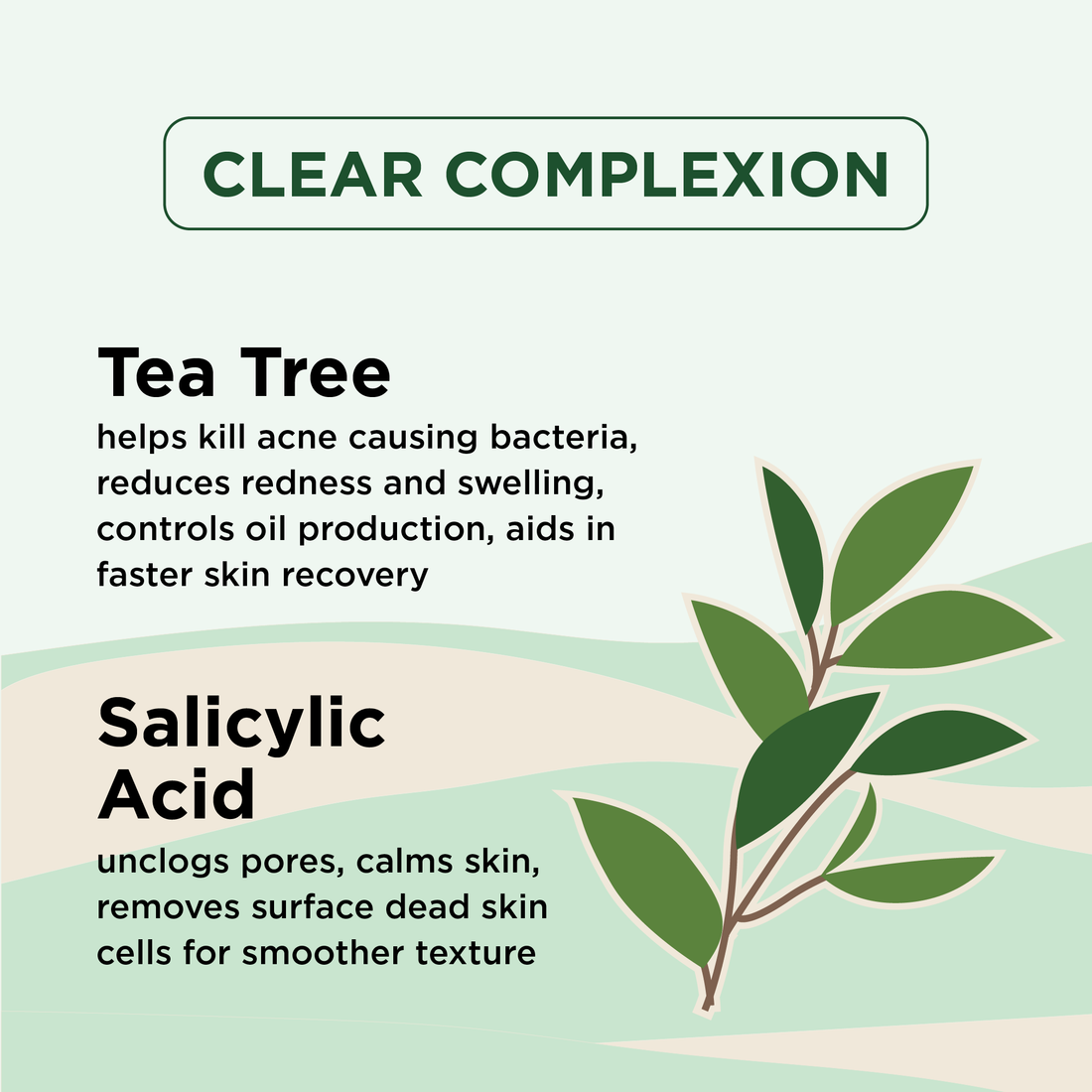 Clear Complexion Cleanser