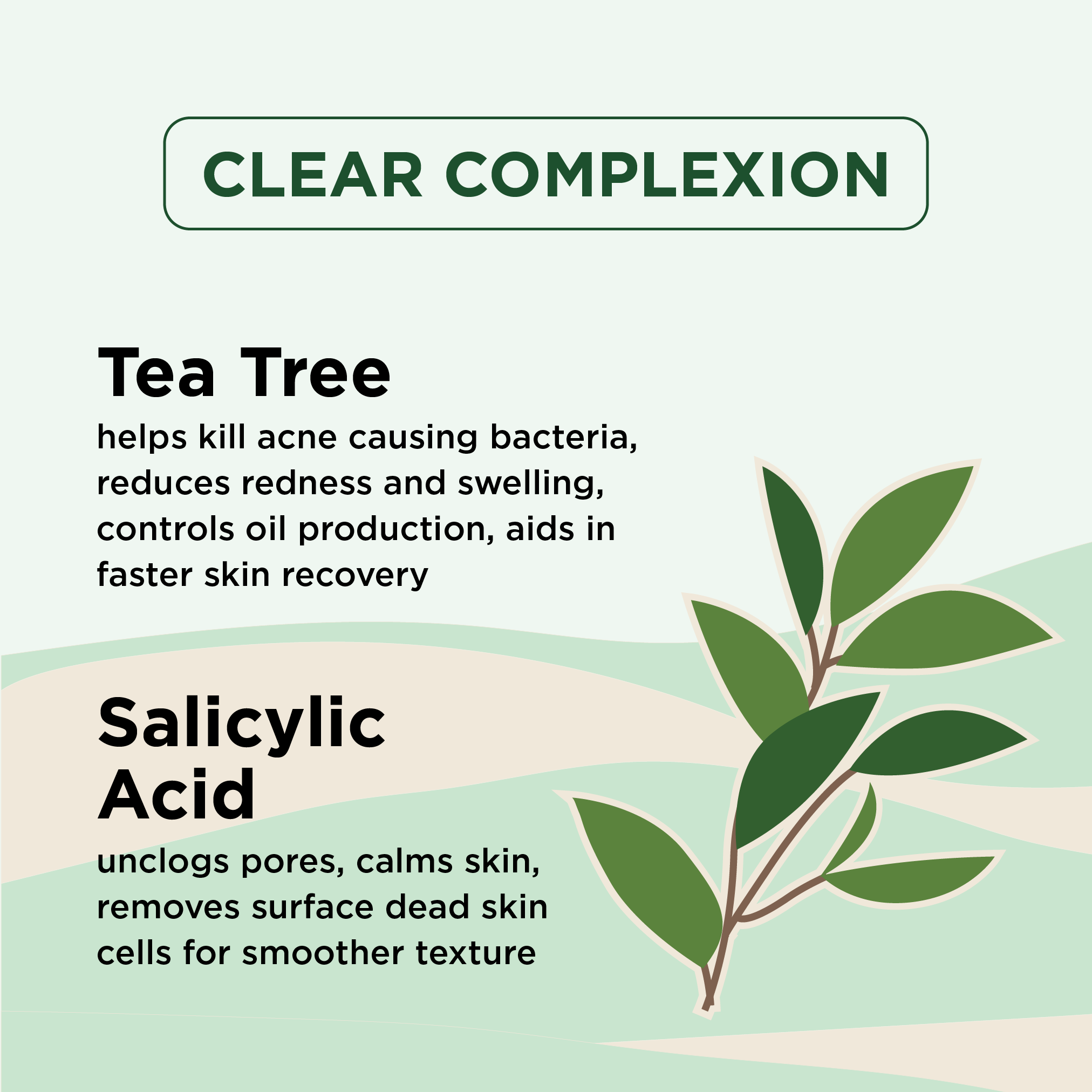 Clear Complexion Daily Moisturizer