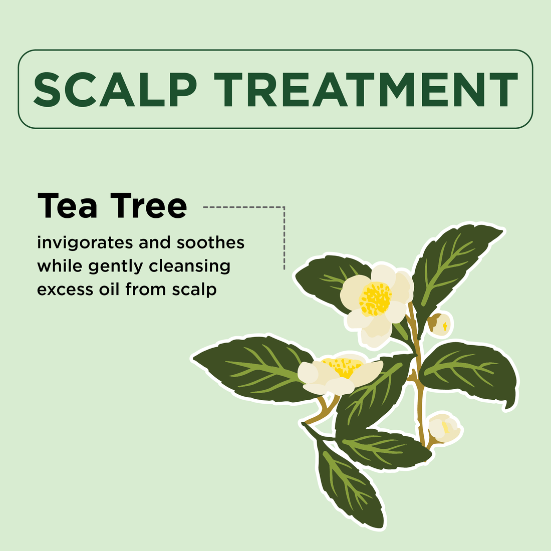 Scalp Treatment Shampoo with Tea Tree