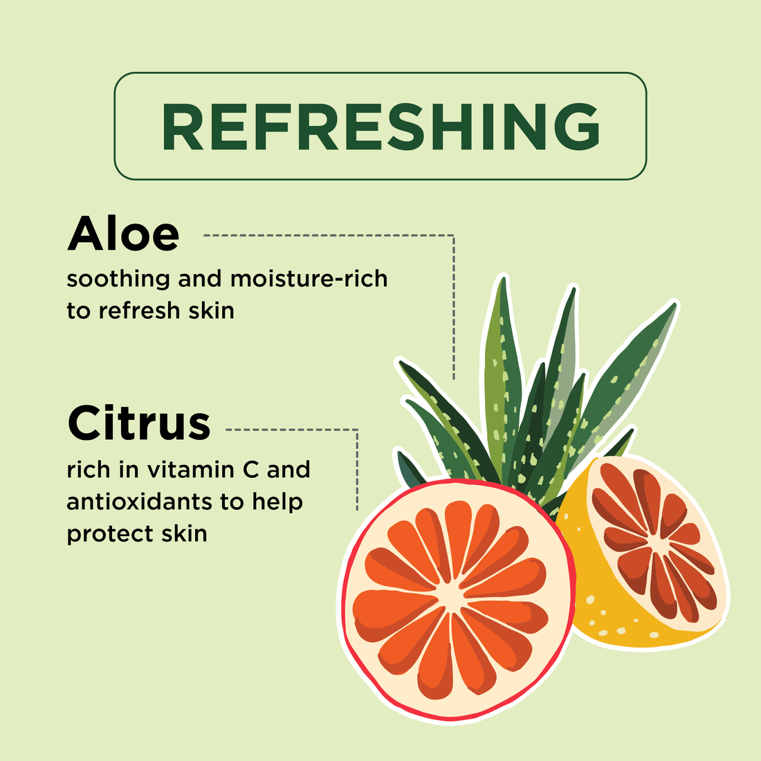 Refreshing Aloe &amp; Citrus Body Wash