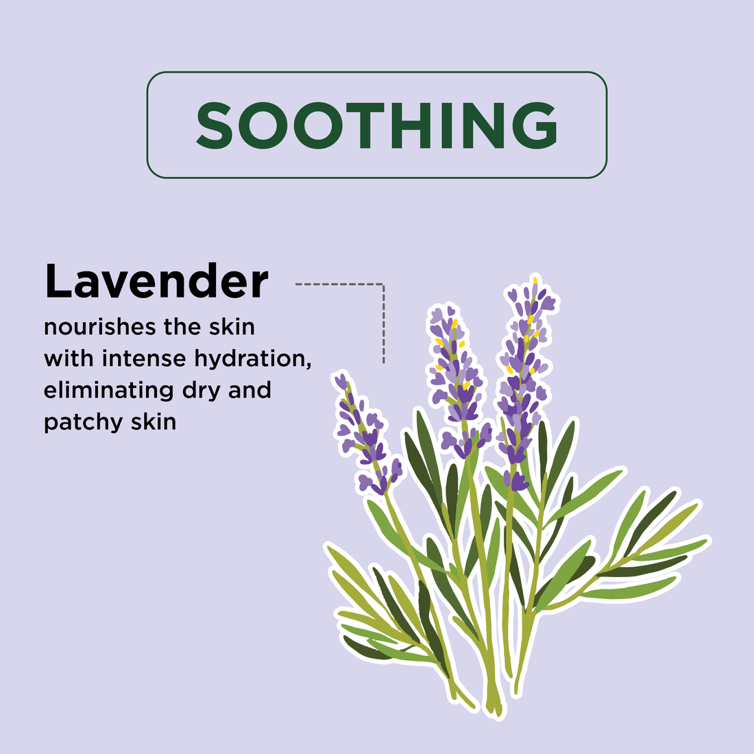 Soothing Lavender Body Wash