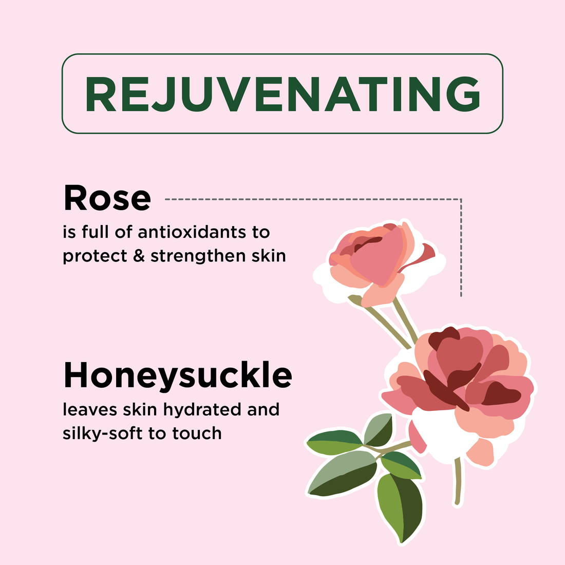 Softening Rose & Honeysuckle Body Wash