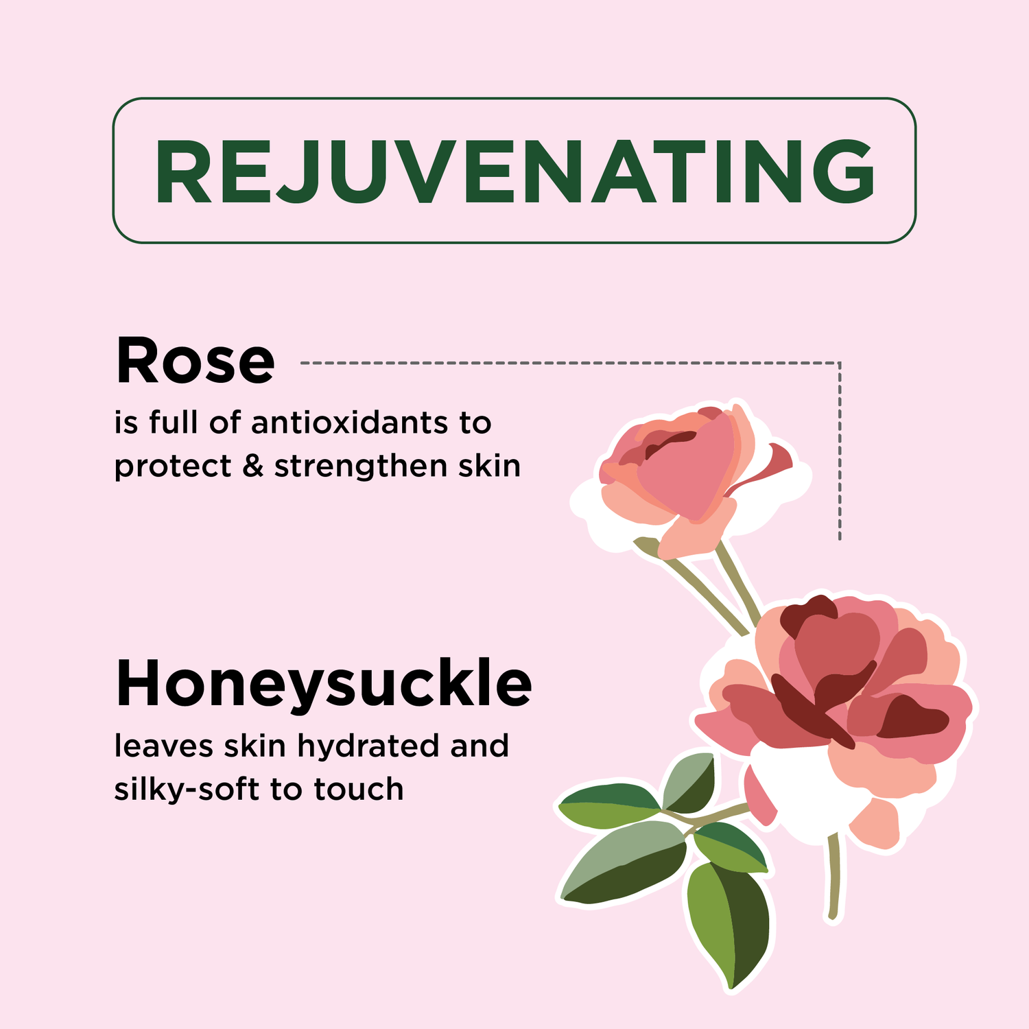 Softening Rose &amp; Honeysuckle Body Wash