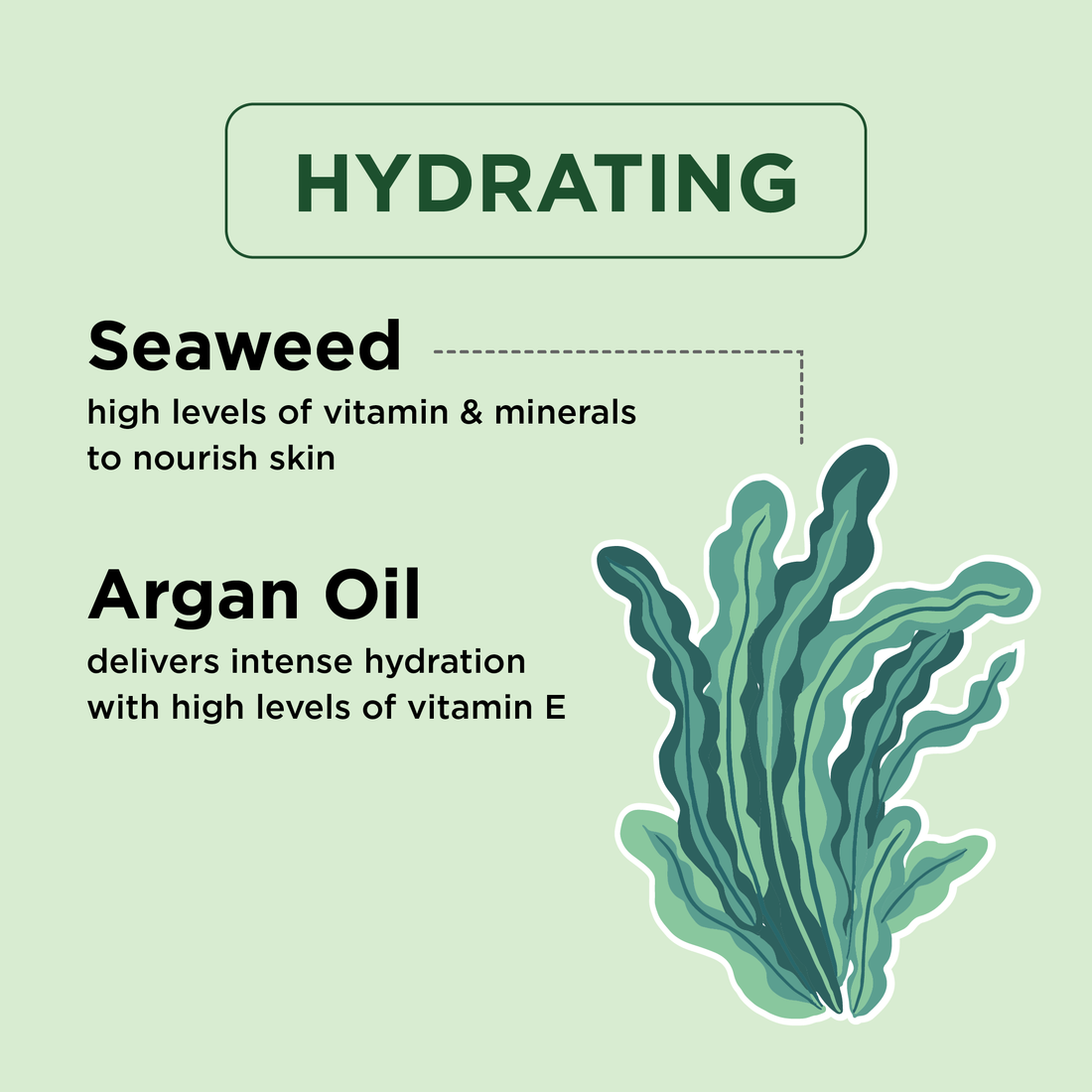 Mineral Nourishing Seaweed & Argan Oil Body Wash
