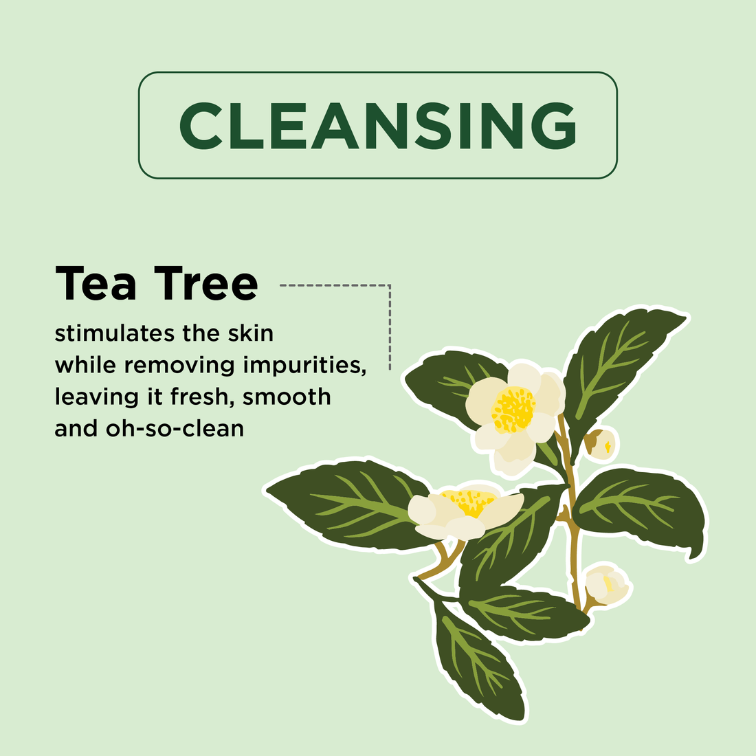 Cleansing Tea Tree Body Wash
