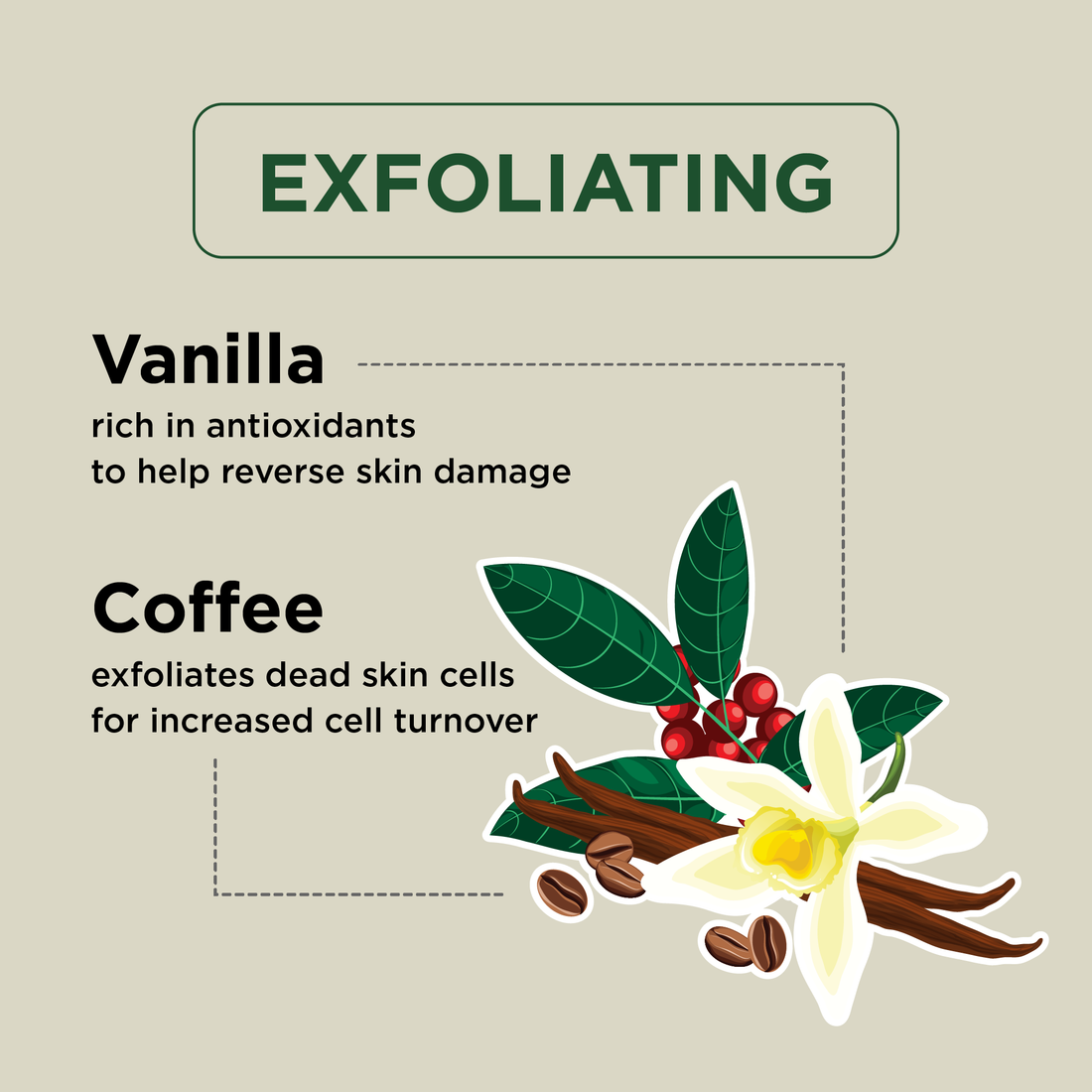 Exfoliating Vanilla &amp; Coffee Body Wash Liter