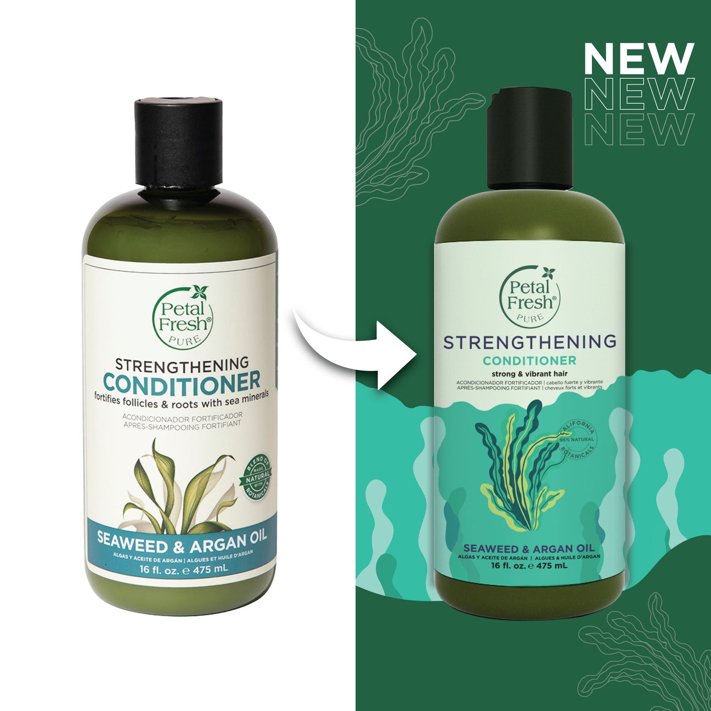 Strengthening Conditioner with Seaweed and Argan Oil