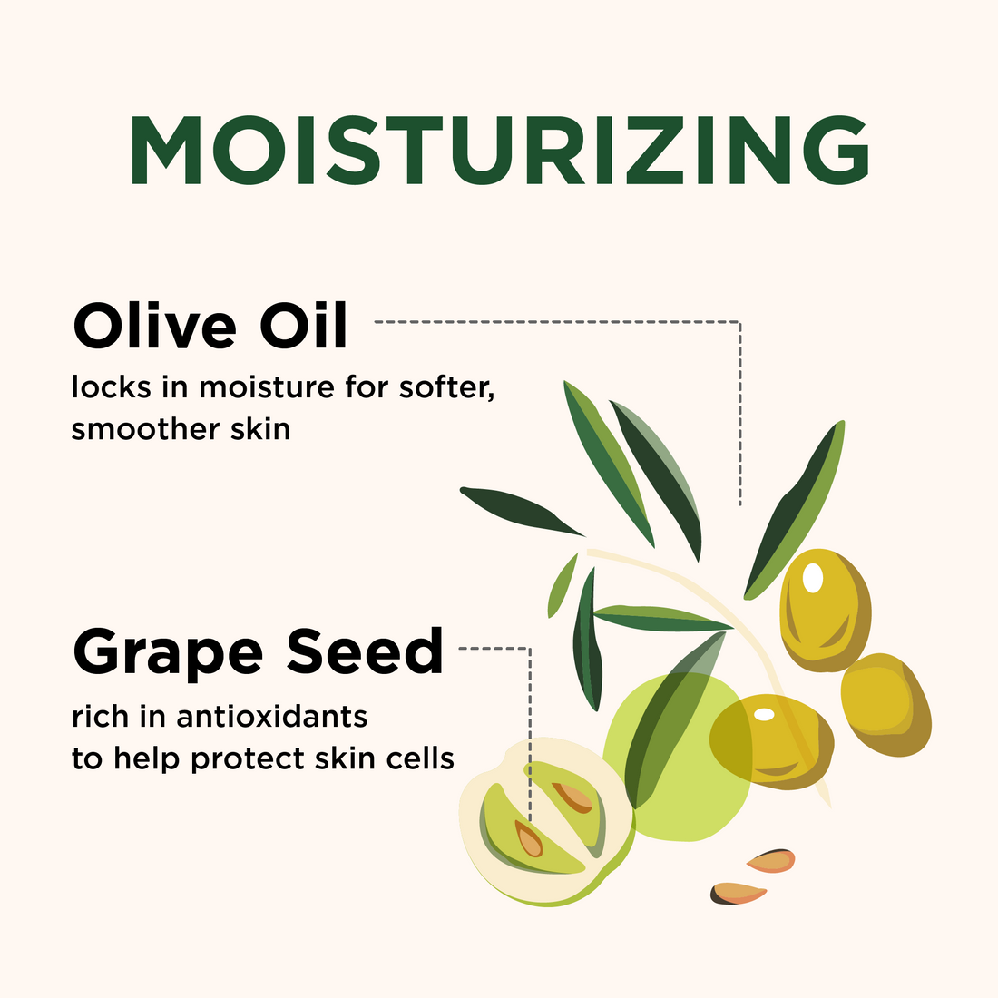 Moisturizing Grape Seed & Olive Oil Body Wash