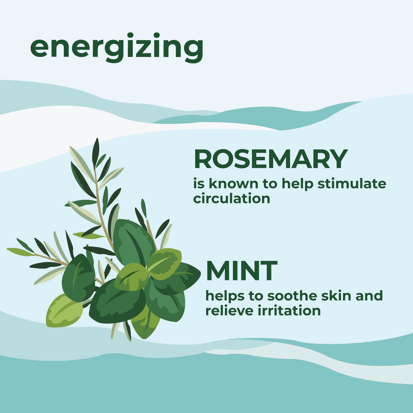 Energizing Bath & Shower Gel with Rosemary & Mint
