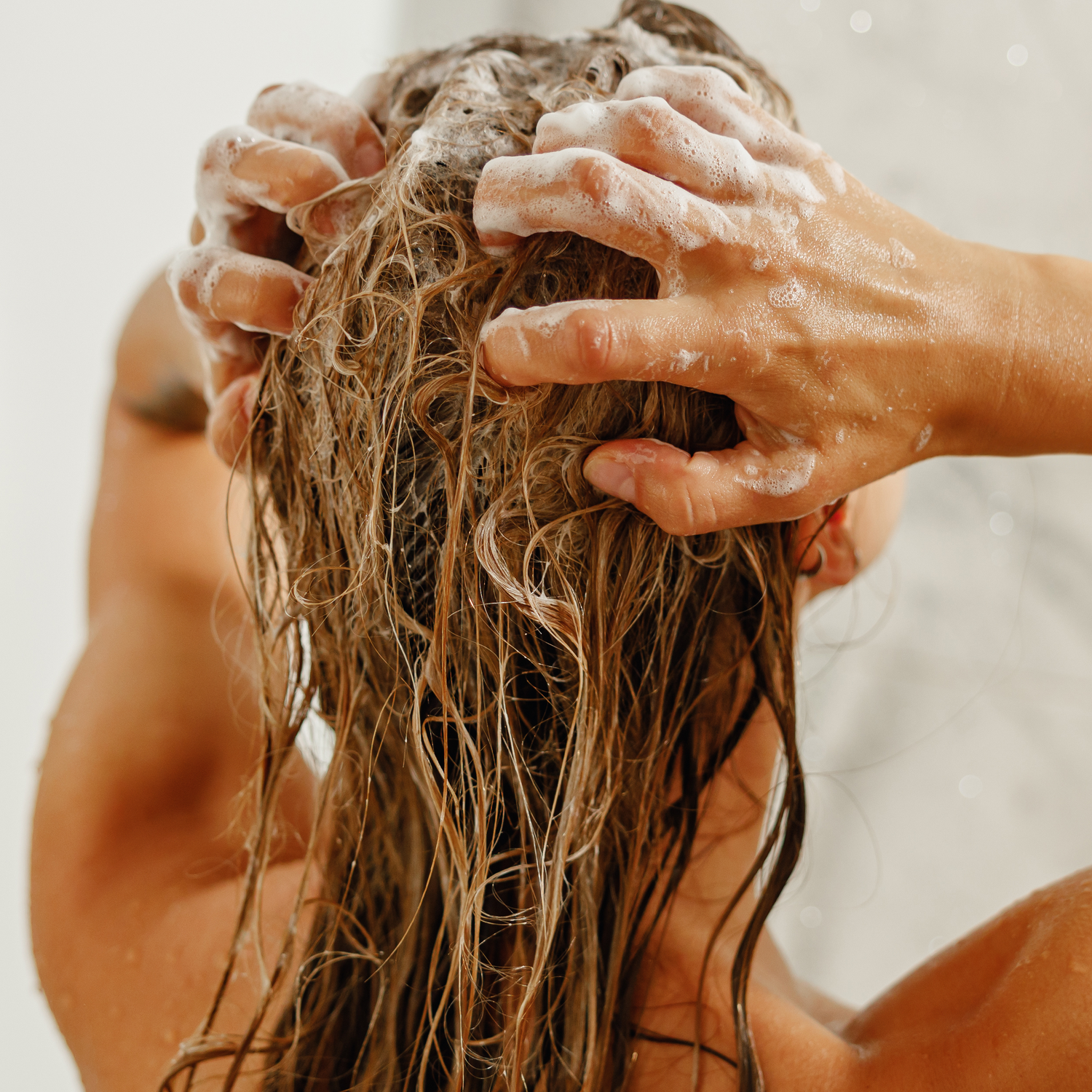 Strengthening Shampoo with Seaweed and Argan Oil